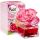 Brait Magic Flowers osviežovač beautiful rose 75 ml