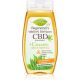 Bio BC šampón 260ml CBD + cannabis
